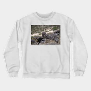 850_8510 Crewneck Sweatshirt